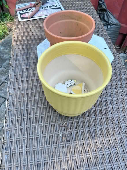 Photo of free Gardening Supplies (Fairlawn/Anacostia) #4