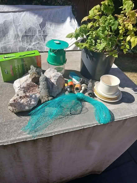 Photo of free Various garden and plant bits etc (Rydon Park EX2) #1