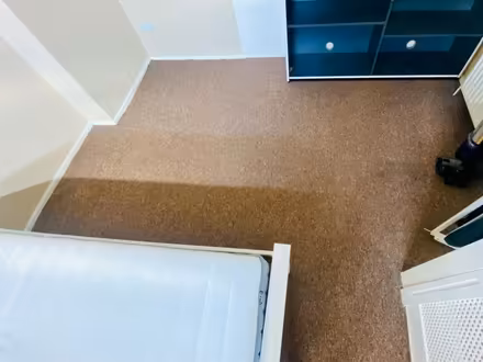Photo of free Large carpet (Heeley, S2) #3