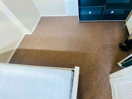 Photo of free Large carpet (Heeley, S2) #3