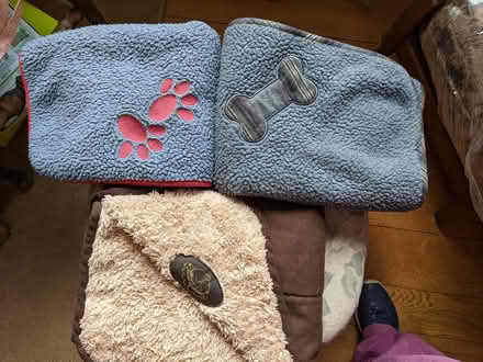 Photo of free Dog blankets (Clun valley SY7) #1