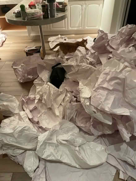 Photo of free Moving boxes and packing paper (Clairemont) #2