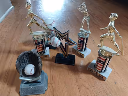 Photo of free 6 baseball trophies (downers grove) #3