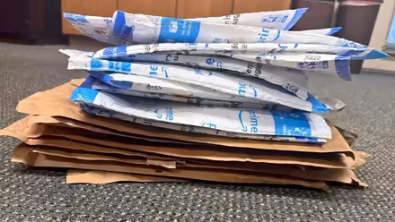Photo of Mailers Mai Envelopes Sleeves (Levittown) #1