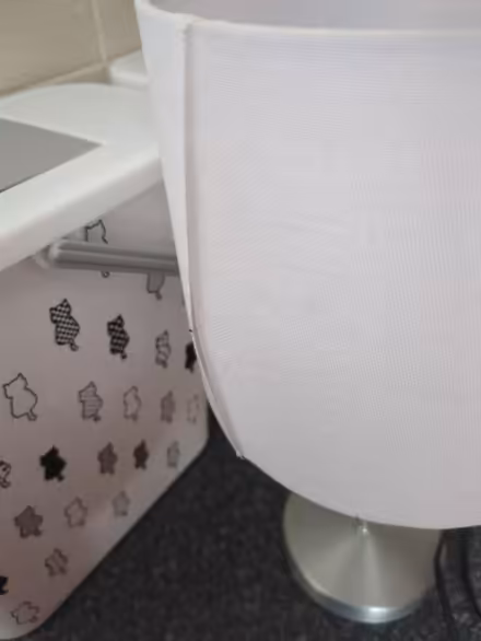 Photo of free Lamp (Stradbroke S13) #2