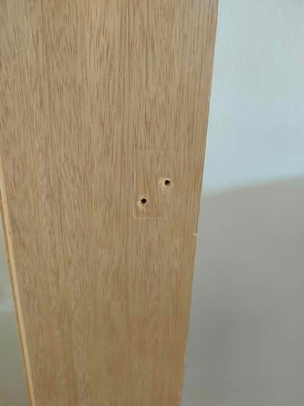 Photo of free Door panel, raw (Eh17 Gilmerton) #2