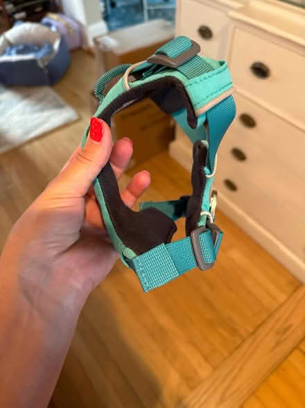 Photo of free Small Dog Harness (Parkville) #1