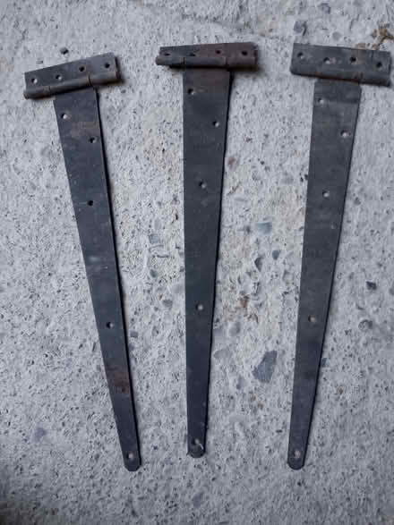 Photo of free T-hinges - 450mm (Bucknell SY7) #1