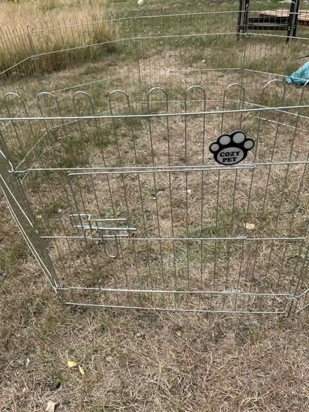 Photo of free Guinea pig run (Cringleford NR4) #1