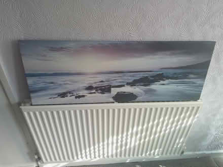 Photo of free Print (WF13) #1