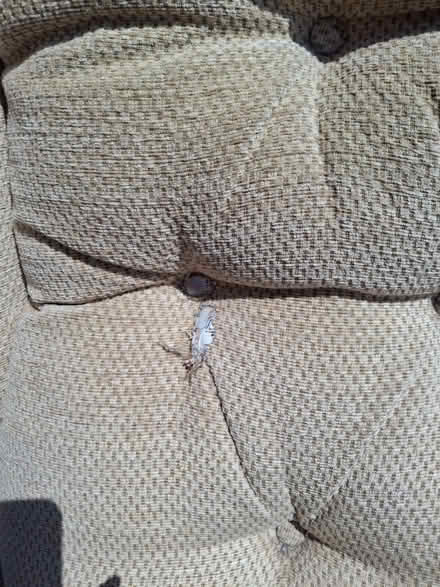 Photo of free Sofa and Recliner Chair (Swanwick DE55) #4