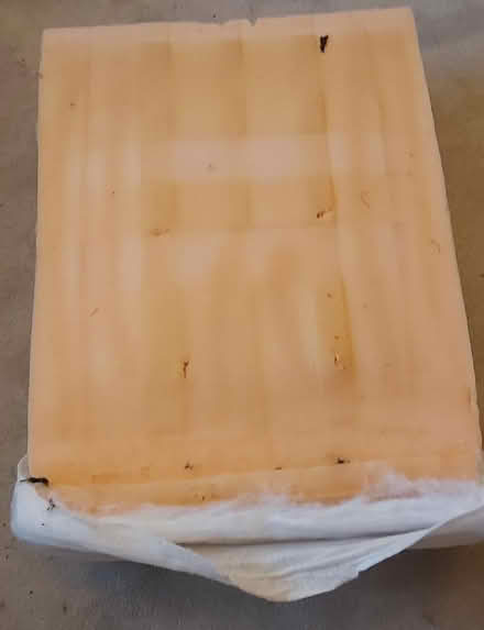 Photo of free Foam Sofa cushions (Great Wakering SS3) #1