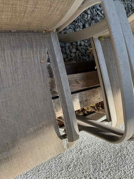 Photo of free Patio Sling Chairs + Side Table (South Davis) #4