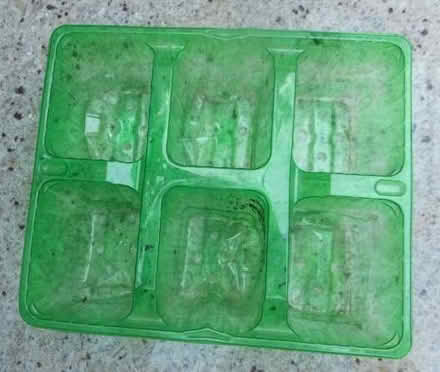 Photo of free plastic seed trays (East Croydon CR0) #2