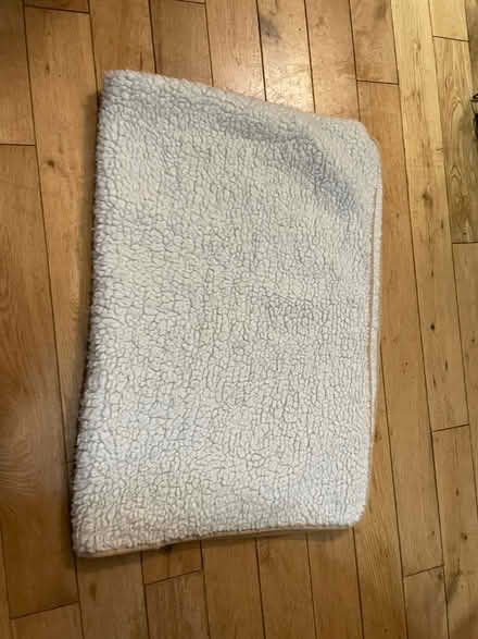 Photo of free dog things (Round Green LU2) #3