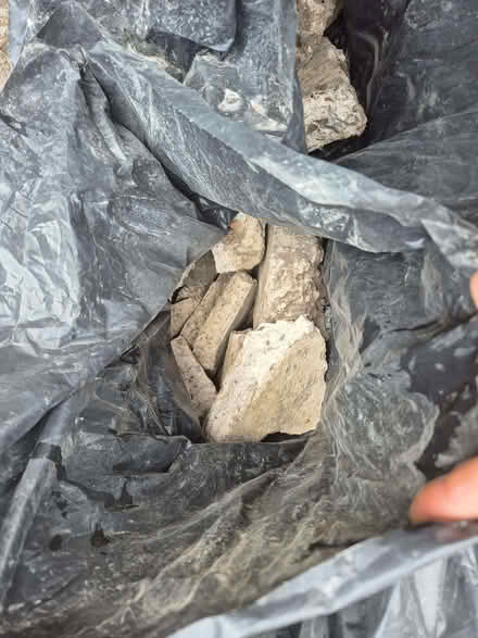 Photo of free Garden items (Spondon DE21) #3
