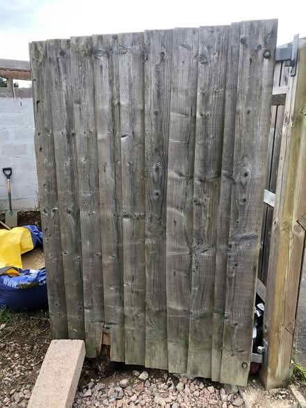 Photo of free Double wooden Garden gates with hinges latch and drop bolt (Charlbury OX7) #3