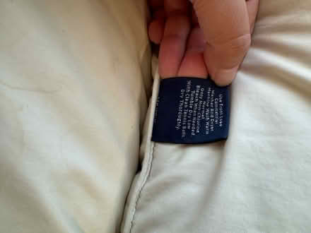 Photo of free 2 Feather land’sEnd pillows (Near Culver City) #4