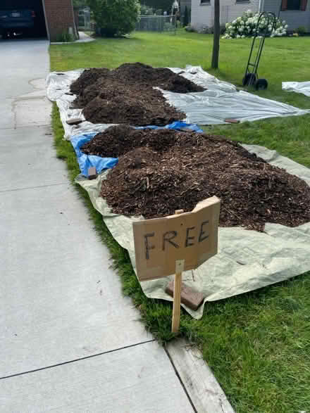 Photo of free mulch/wood chips (Farmington Hills 12 mile) #1