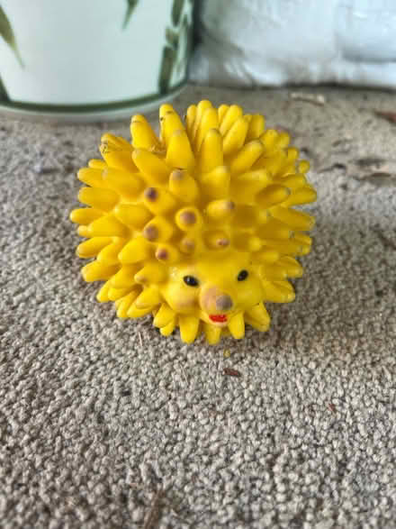Photo of free Yellow Squeezy Hedgehog Dog Toy? (IG6) #1