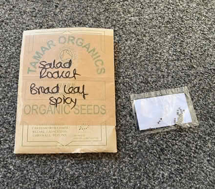 Photo of free Poppy seeds/salad rocket seeds (Plumpton CA11) #2