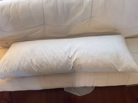 Photo of free Feather body pillow (Near Culver City) #2