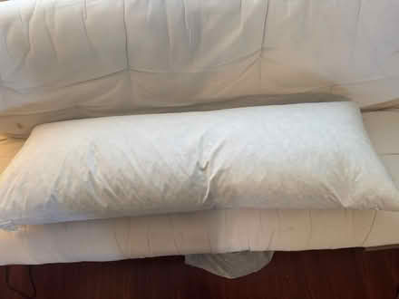 Photo of free Feather body pillow (Near Culver City) #2