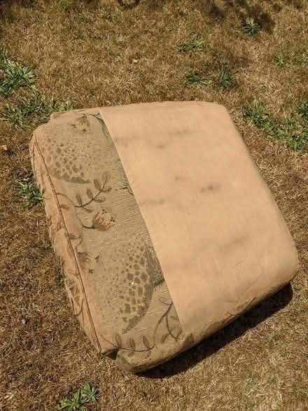 Photo of free Vintage cane backed chair (Clun valley SY7) #4