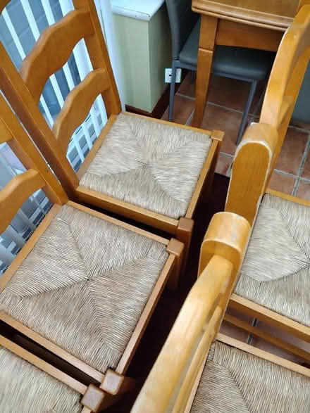 Photo of free 6 Vintage dinning chairs (Alfreton DE55) #3