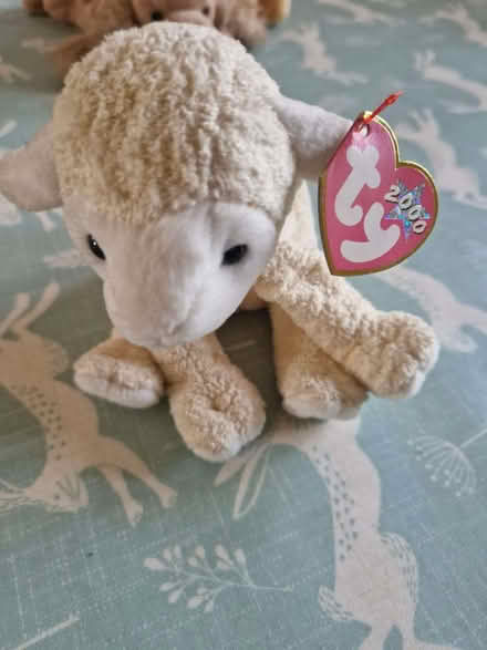 Photo of free TY Beanie Babies x 4 (Arborfield Garrison RG2) #1