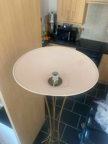 Photo of free 165cm tall lampshade (Crayford DA1) #2