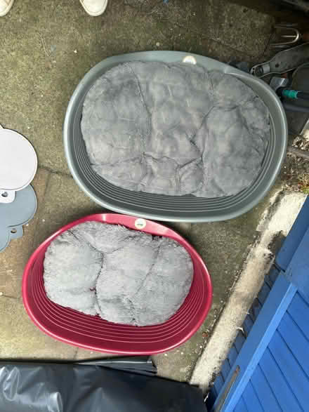 Photo of free Plastic dog beds with grey bedding (Near Cameron Toll EH16) #1