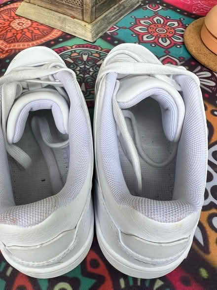Photo of free Womens Puma trainers size 4 EU37 (Barnes SW13) #2