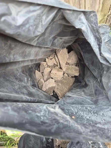 Photo of free Garden items (Spondon DE21) #2