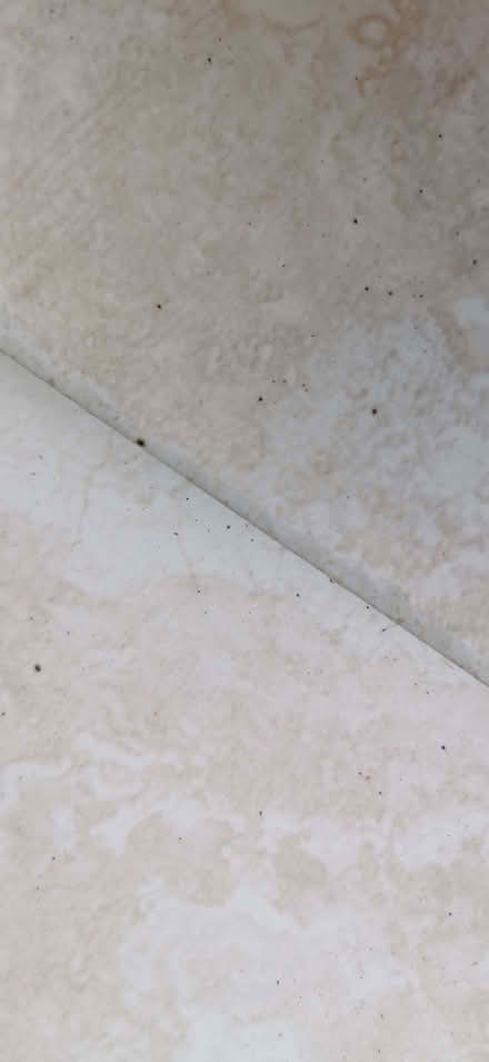 Photo of free Bathroom tiles (Leighton Buzzard LU7) #4