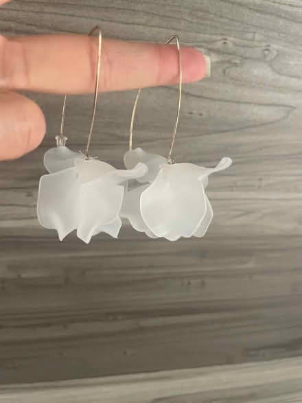 Photo of free Costume Earrings (Santa Clara) #1
