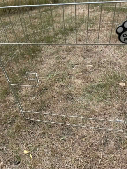 Photo of free Guinea pig run (Cringleford NR4) #2