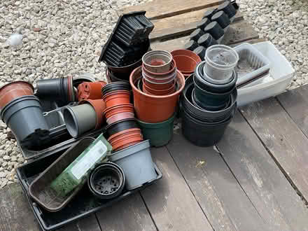 Photo of free Greenhouse Clear Out - Assorted Pots (Blyth NE24) #1