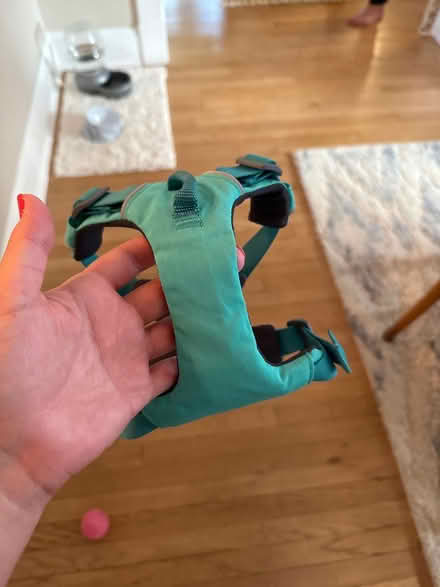 Photo of free Small Dog Harness (Parkville) #2