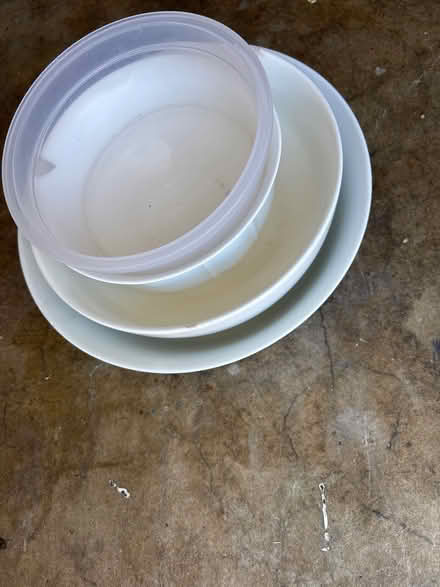 Photo of free Bowls for pet or hobby use (Mitty High area) #1
