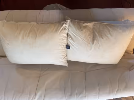 Photo of free 2 Feather land’sEnd pillows (Near Culver City) #2