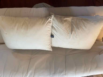 Photo of free 2 Feather land’sEnd pillows (Near Culver City) #2