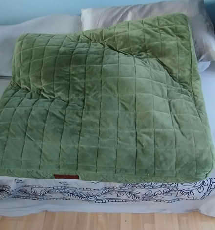 Photo of free Clean Dog/Pet Bed (Guildford GU1) #1