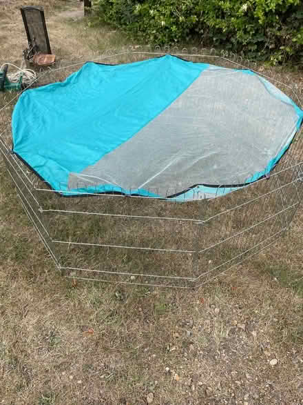 Photo of free Guinea pig run (Cringleford NR4) #4