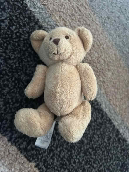 Photo of free Small teddies (Jennetts park RG12) #2