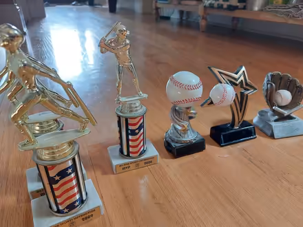 Photo of free 6 baseball trophies (downers grove) #1