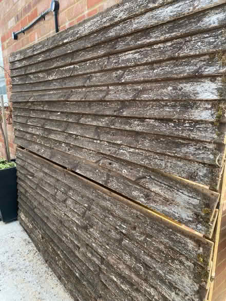 Photo of free Wood (Hitchin SG4) #1