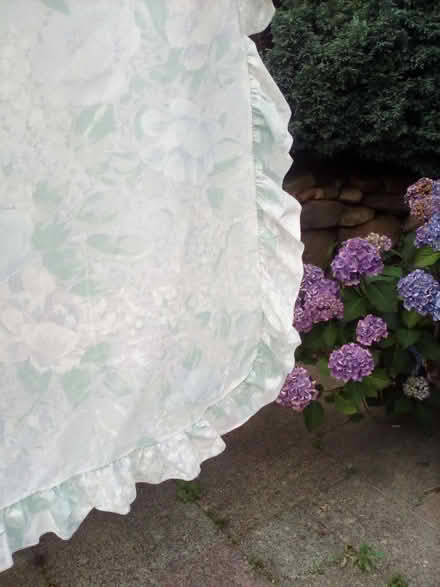 Photo of free Curtains (Shipley, BD18) #2