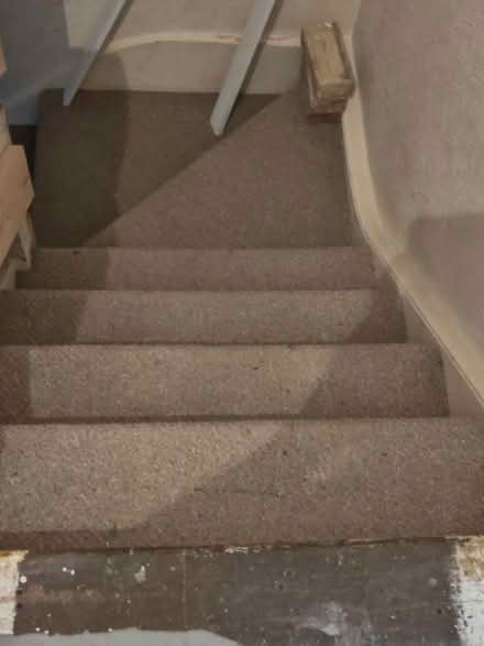 Photo of free Used carpet (Birchwood AL10) #1