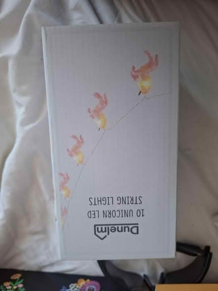 Photo of free Unicorn string lights (Seaside BN22) #1
